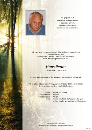 Portrait von Pedot Hans