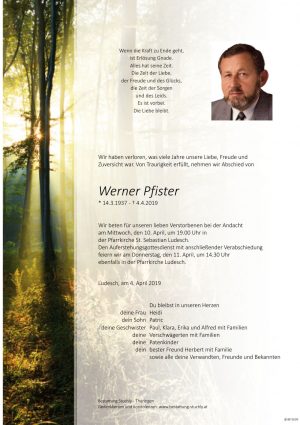 Portrait von Pfister Werner